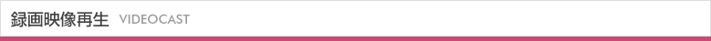 録画映像再生